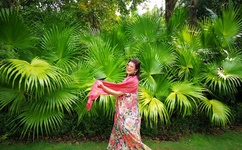 谭瑞松为什么被抓了